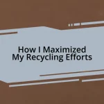 How I Maximized My Recycling Efforts