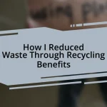 How I Reduced Waste Through Recycling Benefits