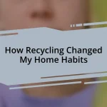 How Recycling Changed My Home Habits