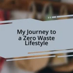 My Journey to a Zero Waste Lifestyle