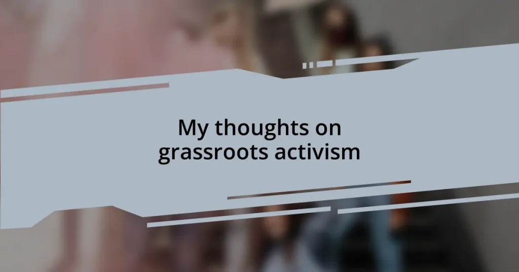 My thoughts on grassroots activism