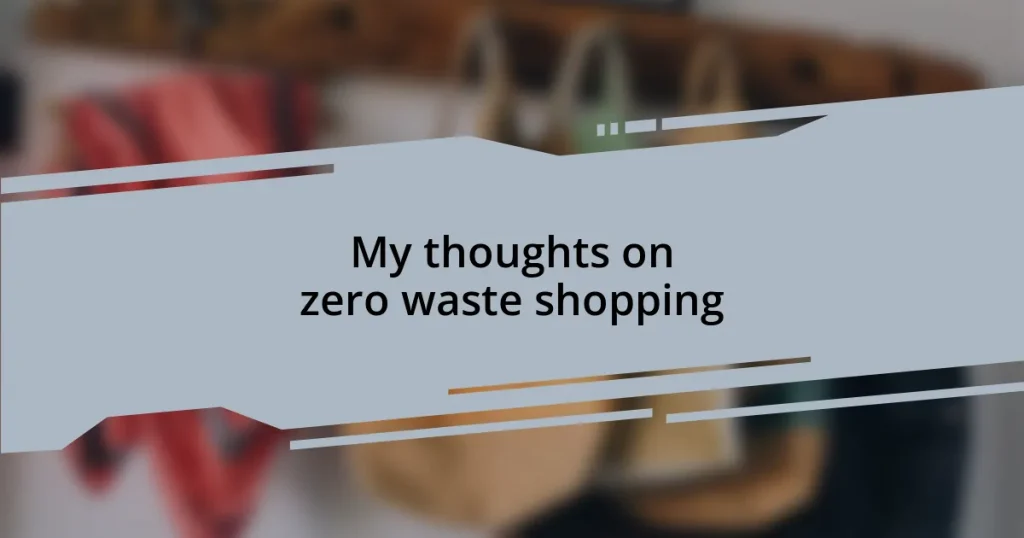 My thoughts on zero waste shopping