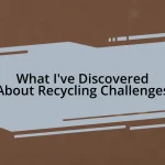 What I’ve Discovered About Recycling Challenges