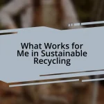 What Works for Me in Sustainable Recycling
