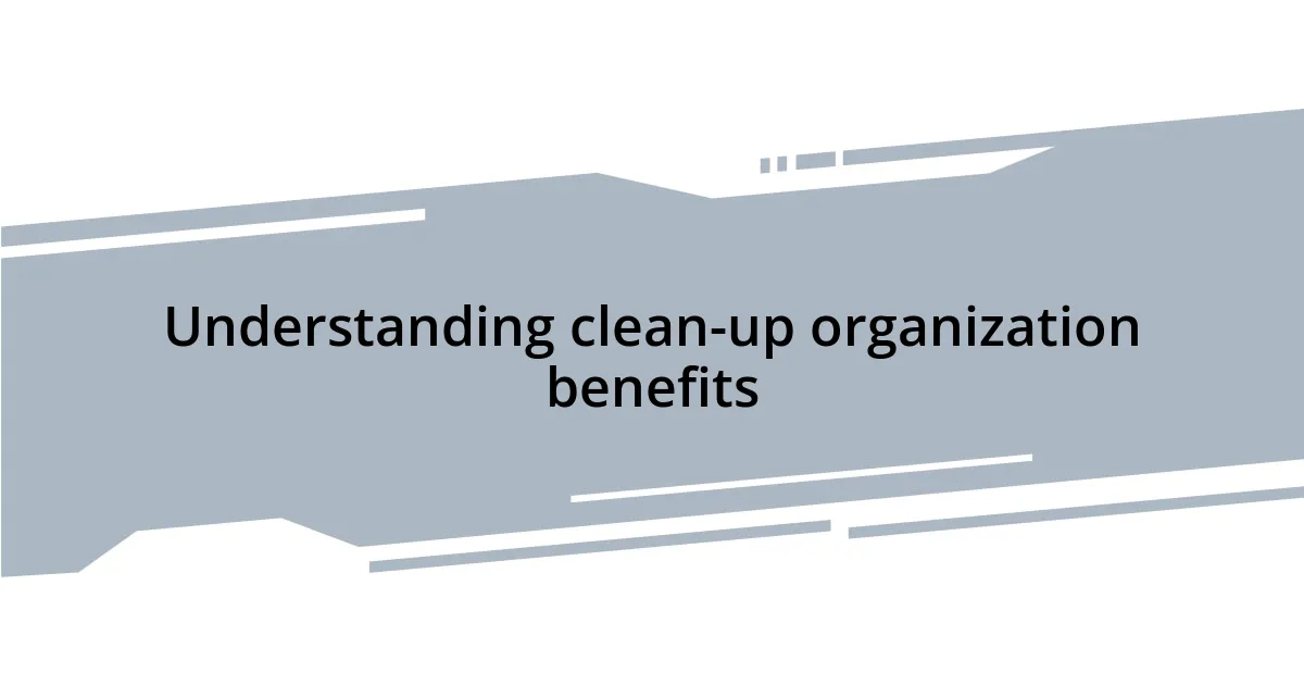 Understanding clean-up organization benefits