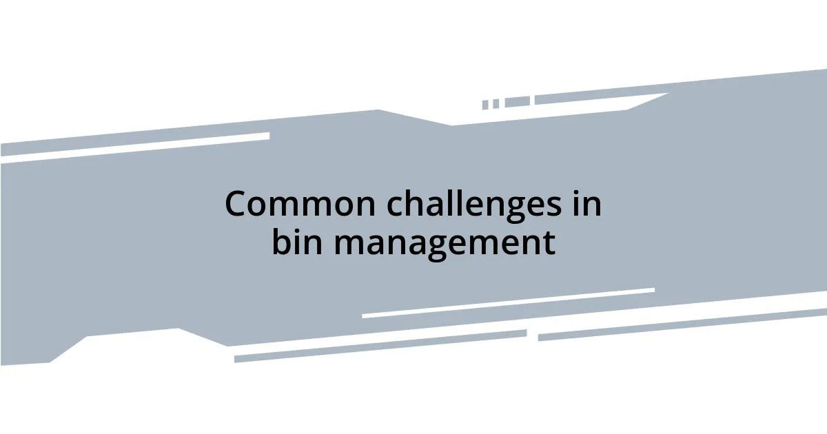 Common challenges in bin management